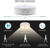 Motion Sensor Lights