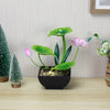 3-Tier Lotus Indoor Waterfall Fountain – Tabletop Relaxation Water Fountain with Pump & Natural Rocks